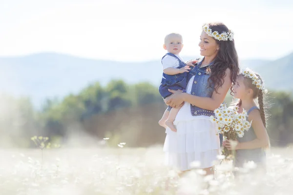 Madre con hijos en un campo de verano de margaritas florecientes — Foto de Stock
