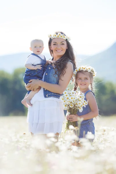 開花のヒナギクの夏の畑で子供を持つ母 — ストック写真