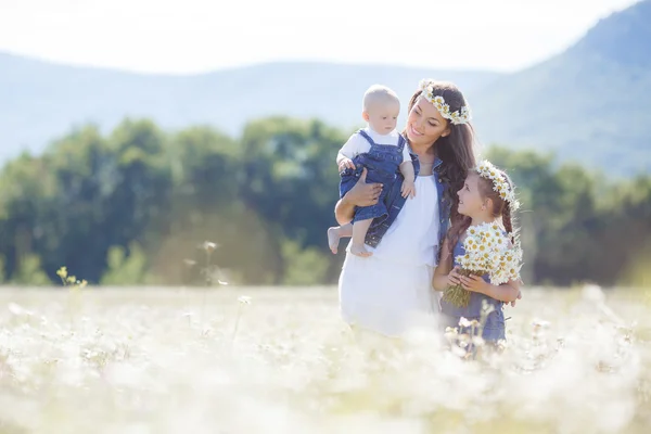 Mãe com crianças em um campo de verão de margaridas florescentes — Fotografia de Stock