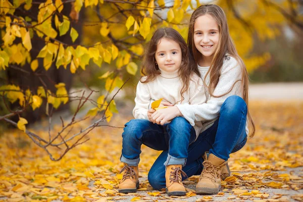 Linda chica con su hermana menor en el parque de otoño — Foto de Stock