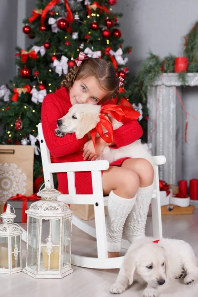 Happy girl with two puppies Golden Retriever on a background of Christmas tree — Stock Photo, Image