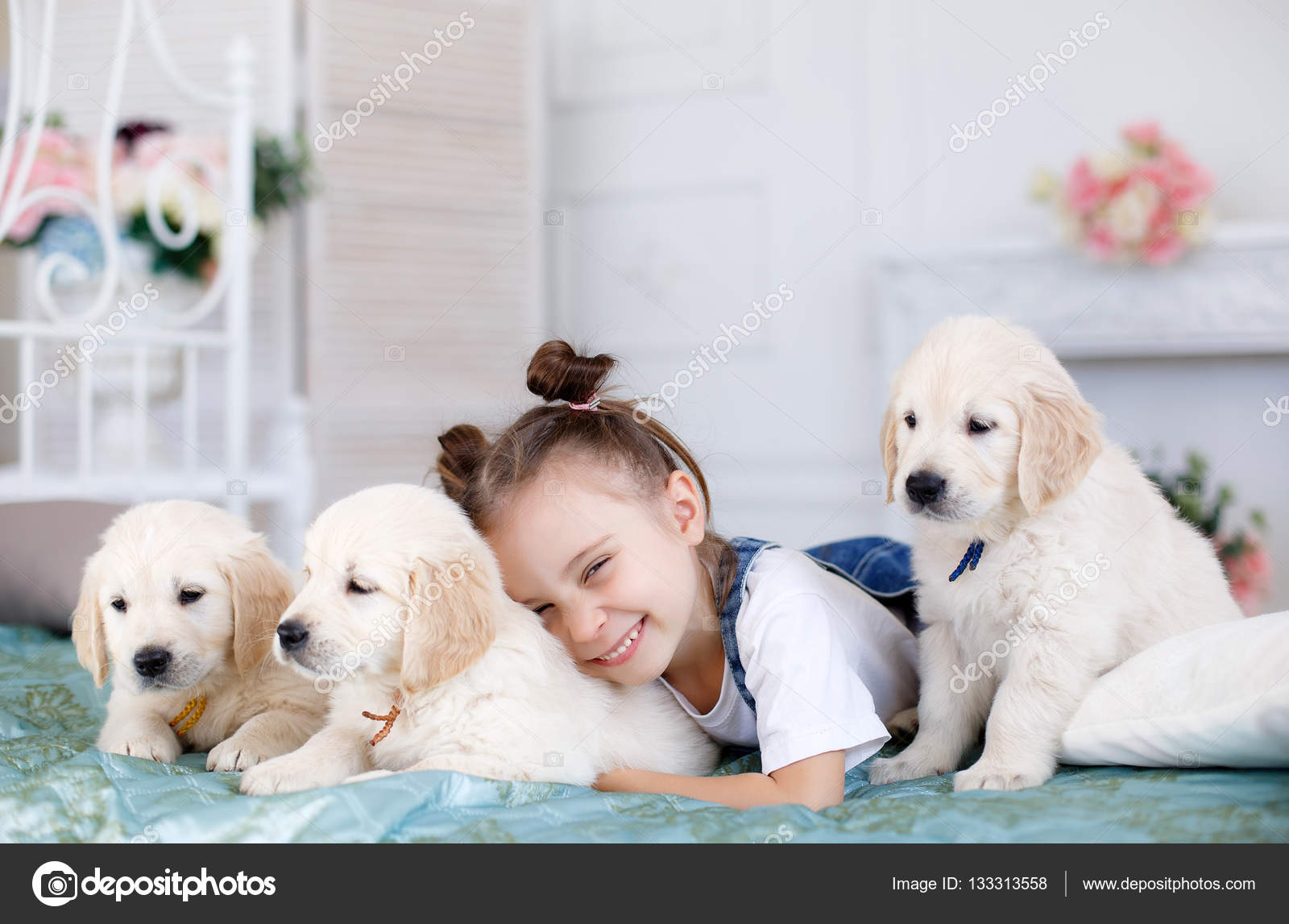 Как зовут домашнего питомца. Домашние животные и их клички. Как зовут домашнего питомца. Красивые домашние животные. Домашние животные в доме.