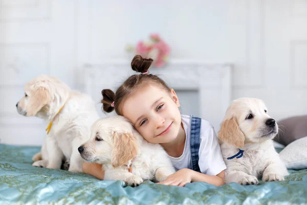 Little girl playing with Puppies Retriever — Stock Photo, Image