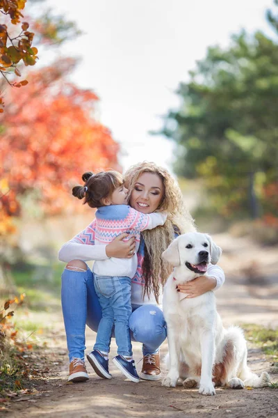 Una madre joven con una niña y dos perros en un paseo por el parque en otoño —  Fotos de Stock