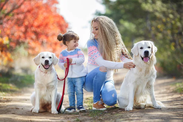 Молодая мать с маленькой девочкой и двумя собаками на прогулке в парке осенью — стоковое фото
