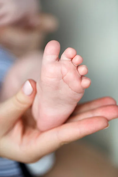 Feet of newborn baby on mother's palm — Stock Photo, Image