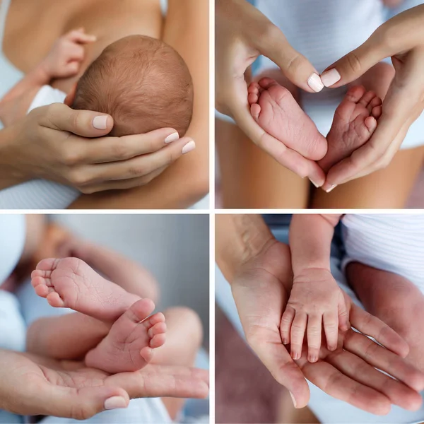 Kolaż zdjęć cztery ręce matki i dziecka stóp — Zdjęcie stockowe