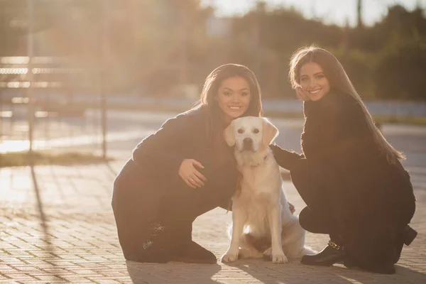 Amigos alegres com um cão ao ar livre — Fotografia de Stock