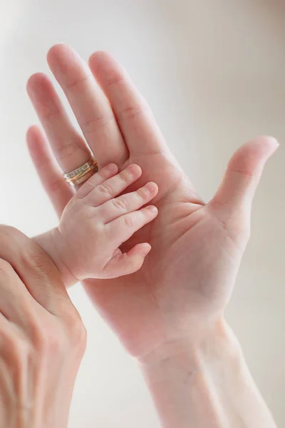 Concept Une Famille Heureuse Sur Paume Tendre Mère Mettre Paume — Photo