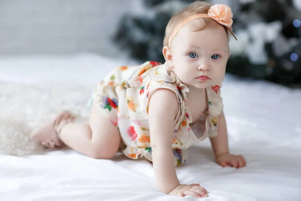 Close Uma Menina Oito Nove Meses Idade Com Olhos Azuis — Fotografia de Stock