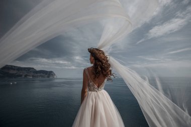 Güzel gelin peçe bir göz alıcı beyaz düğün elbise görünümünde deniz cliff üzerinde duruyor. Romantik arka plan denizin üzerinde poz beyaz elbiseli güzel gelin. Sahilde poz lüks elbiseli mutlu gelin. Düğün günün kutlu olsun.