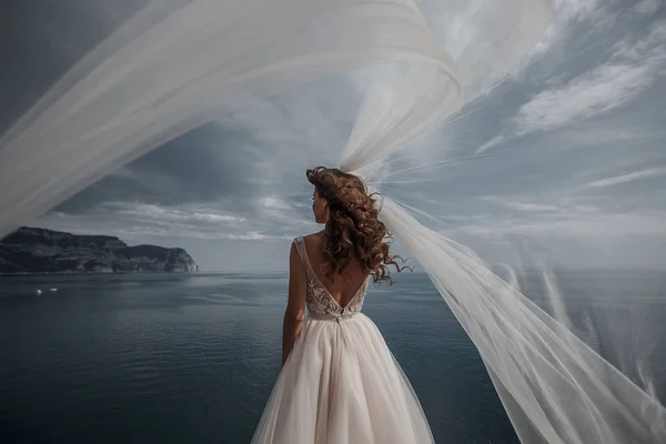 Vackra Brud Står Klippa Ovanför Havet Glamorös Vit Bröllop Klänning — Stockfoto