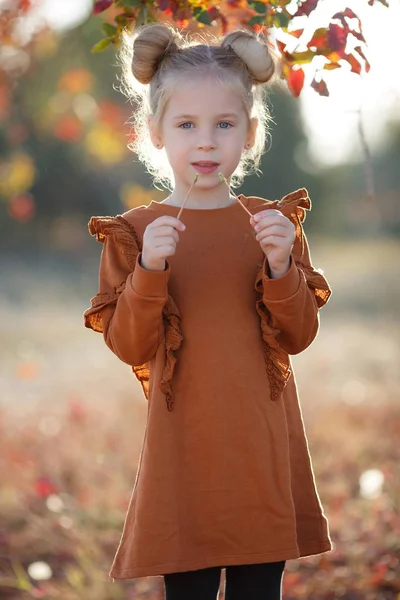 Roztomilé Dívka Pózuje Pro Fotografa Krásném Podzimním Parku Při Západu — Stock fotografie