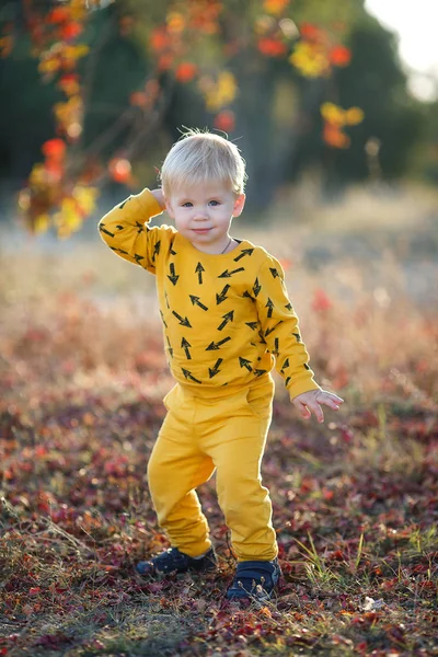 Maluch Świeżym Powietrzu Sam Parku Jesienią Szczęśliwy Chłopiec Spacerujący Parku — Zdjęcie stockowe