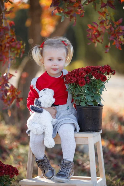 Kis Divatmajom Boldog Lány Ősszel Kislány Boldogan Mosolyog Őszi Levelekkel — Stock Fotó