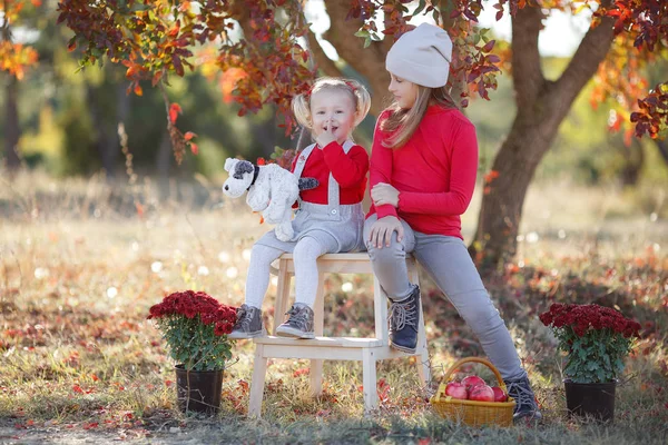 两个可爱的小女孩 一个姐姐 一个姐姐 在美丽的秋日里玩得很开心 秋天对孩子们来说是温暖的秋天 秋天的时候 快乐的女朋友们会在公园里呆着 — 图库照片