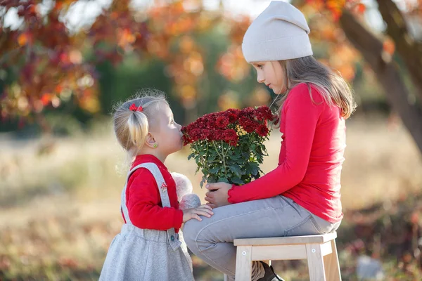 Dvě Roztomilé Holčičky Starší Mladší Sestra Baví Krásný Podzimní Den — Stock fotografie
