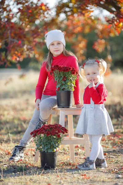 Dwie Słodkie Dziewczynki Starsza Młodsza Siostra Bawiące Się Piękny Jesienny — Zdjęcie stockowe