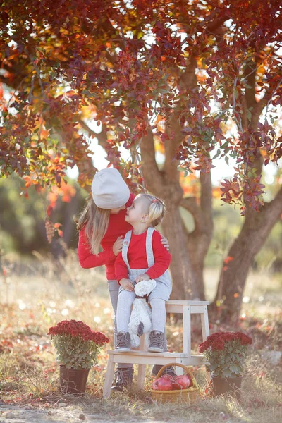 Dvě Roztomilé Holčičky Starší Mladší Sestra Baví Krásný Podzimní Den — Stock fotografie