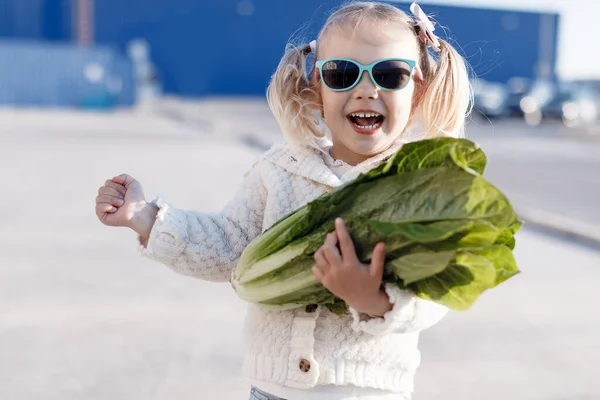 Маленькая Трехлетняя Девочка Продуктовом Магазине Супермаркете Выбирает Свежую Органическую Капусту — стоковое фото