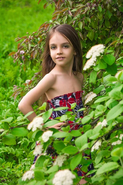 Korthårig tjej i en spring park. — Stockfoto
