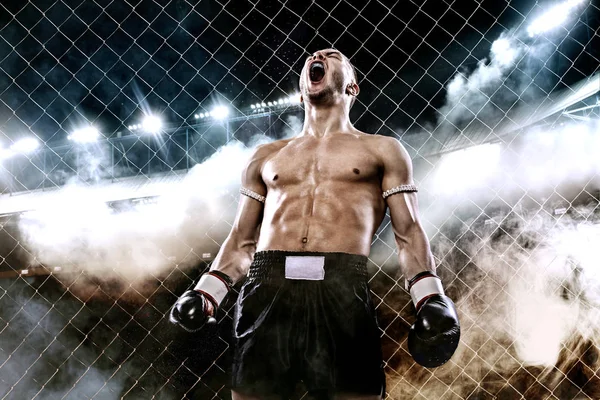 Sportsman Muay Thai boxer celebrating flawless victory in boxing cage. Background with lights and smoke. Copy Space. Sport concept. — Stock Photo, Image