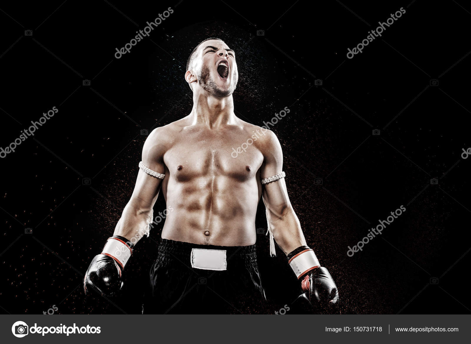 Sportsman Muay Thai Boxer Celebrating Flawless Victory in Boxing Cage.  Isolated on Black Background with Smoke. Copy Stock Image - Image of  people, handsome: 91121441