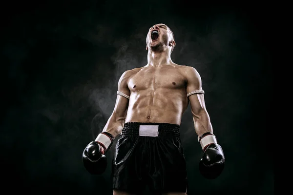 Sportsman Muay Thai boxare firar felfri seger i boxning bur. Isolerad på svart bakgrund med rök. Kopiera utrymme. — Stockfoto