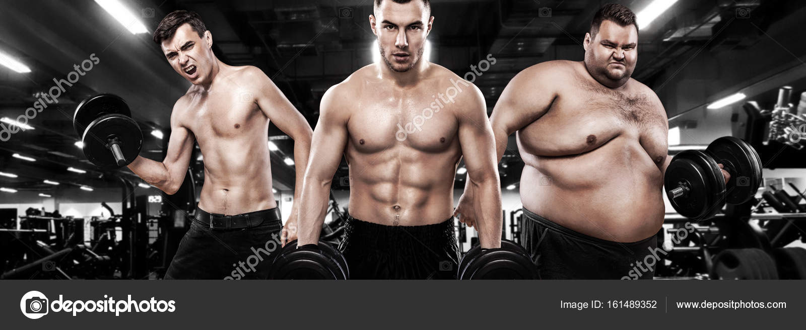 endomorph six pack