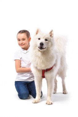 Beyaz köpek ile mutlu bir çocuk. Portre kız ile evde beslenen hayvan. Smilyng Samoyed Laika köpek.