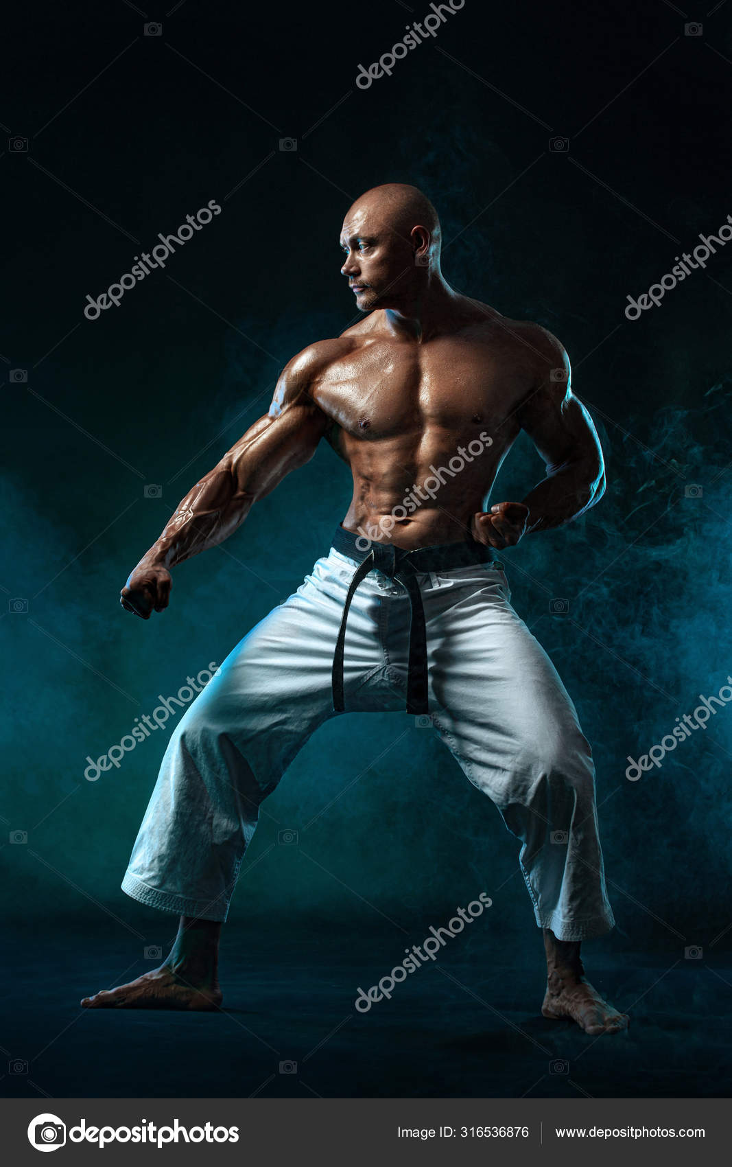 Martial Arts Body
