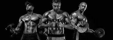Üç güçlü ve formda vücut geliştirici. Halterli ve dambılı kaslı adamlar. Spor ve spor motivasyonu. Bireysel spor eğlencesi.