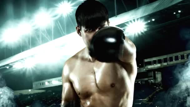 Fitness and boxing concept. Boxer, man fighting or posing in gloves on ring with lights. Individual sports recreation. — Stock Video