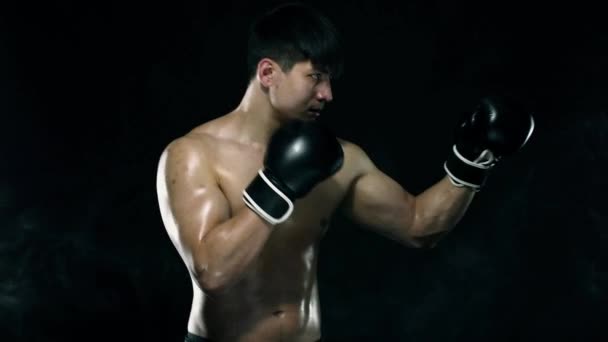 Concept de boxe d'ombre. Boxer homme en gants se battant avec ombre sur fond noir. Loisirs sportifs individuels . — Video