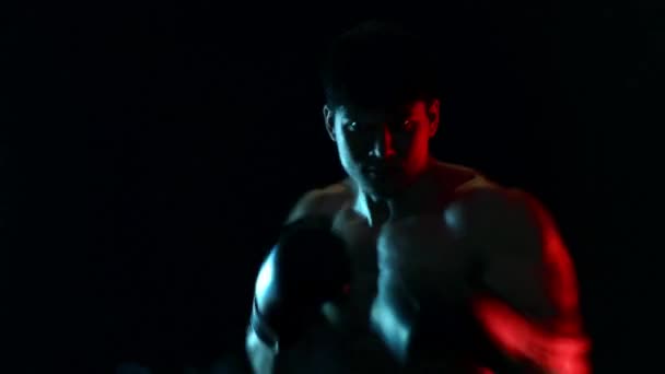 Concetto di Shadow-boxing. Boxer uomo in guanti lotta con ombra su sfondo nero. Ricreazione sportiva individuale. Teal colori arancio . — Video Stock