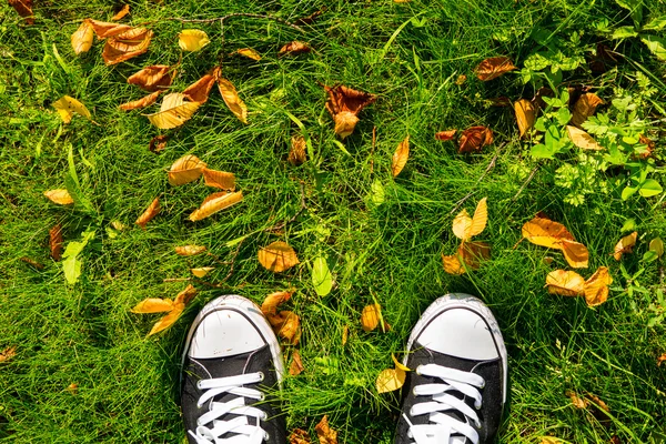 Sneakers en bladeren op gras — Stockfoto
