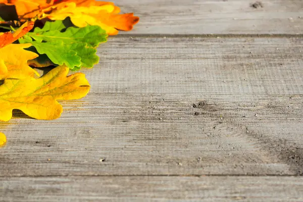 Herfstbladeren op een tafel — Stockfoto