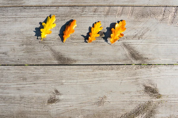 Herbstblätter auf dem Tisch — Stockfoto