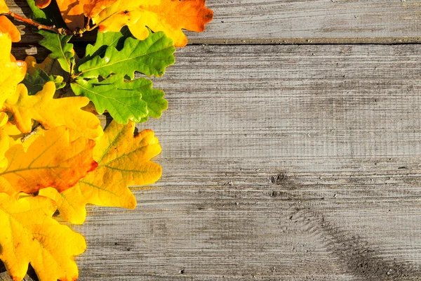 Foglie di autunno su un tavolo — Foto Stock