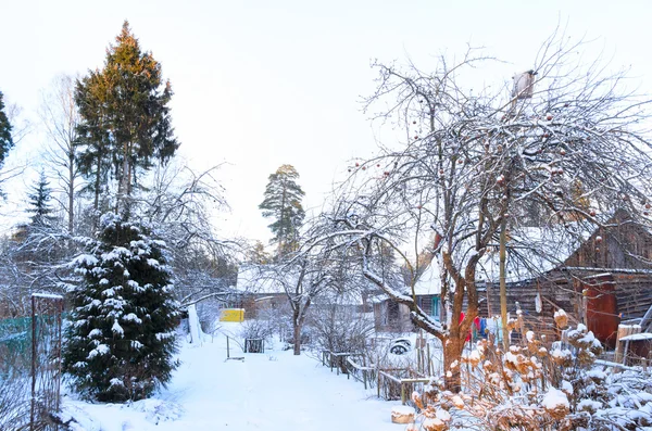 Casa rural nevada — Fotografia de Stock