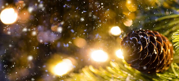 Geschmückter Weihnachts- oder Neujahrstannenbaum — Stockfoto