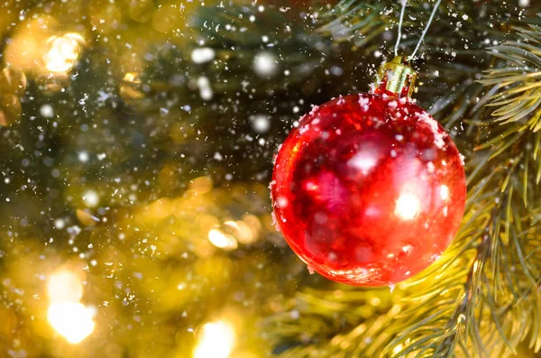 Süslü Noel ve yeni yıl köknar ağacı — Stok fotoğraf