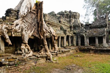 Preah Han Tapınağı