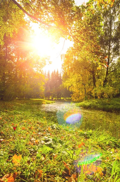 Barevné podzimní park — Stock fotografie