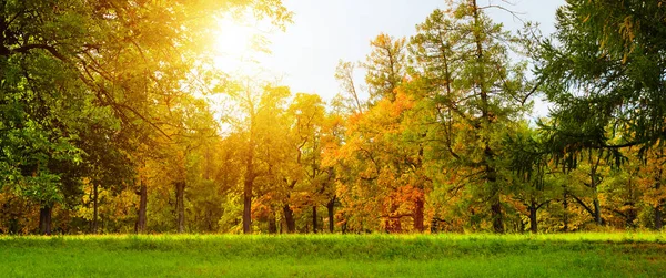 カラフルな秋の公園 — ストック写真