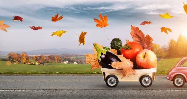 Autumn food delivery