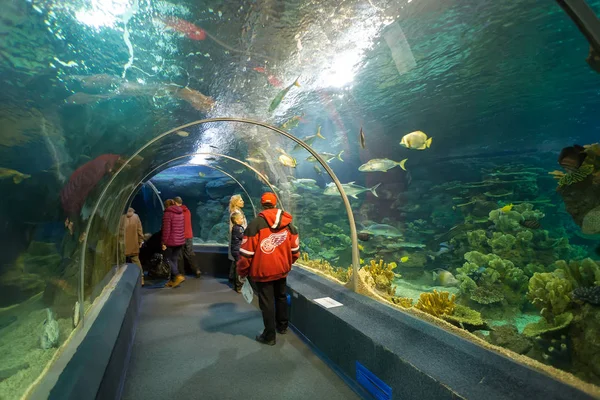 Сочі відкриття акваріума. Росія — стокове фото