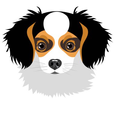 Yavru köpek beyaz arkaplanda izole edildi