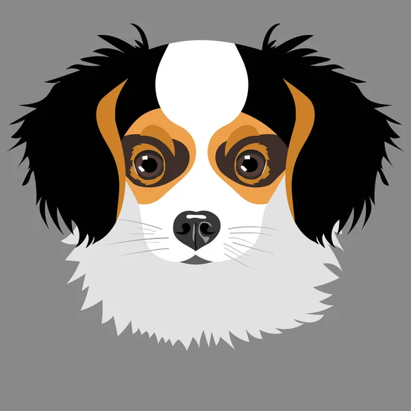 灰色の背景に分離された子犬 — ストックベクタ