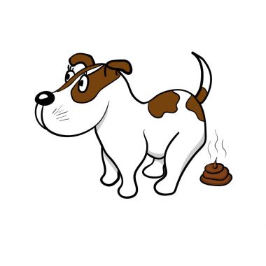 Köpek ödeyin